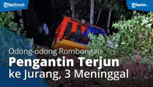 Tragedi Rombongan Pengantin Masuk Jurang di Layang Lekat, Bengkulu Tengah: 3 Korban Tewas