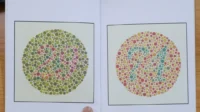 Uji Penglihatan Warna lewat Tes Ishihara: Kunci Lulus SIM dan Mengenali Buah dalam Gambar