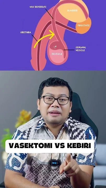 Vasektomi vs Kebiri: Memahami Perbedaan Esensial Menurut Pakar Kesehatan