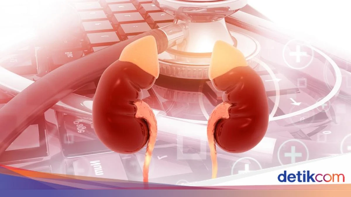 Waspada! 6 Makanan Sehari-hari yang Bisa Merusak Ginjal, Nomor 6 Sangat Populer di Indonesia