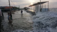 Waspada Banjir Rob di Pesisir Utara Jakarta: Ancaman Tinggi Hingga 9 April 2026