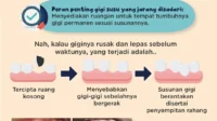 Waspada! Kandungan Tersembunyi pada Susu Formula yang Bisa Merusak Gigi Anak