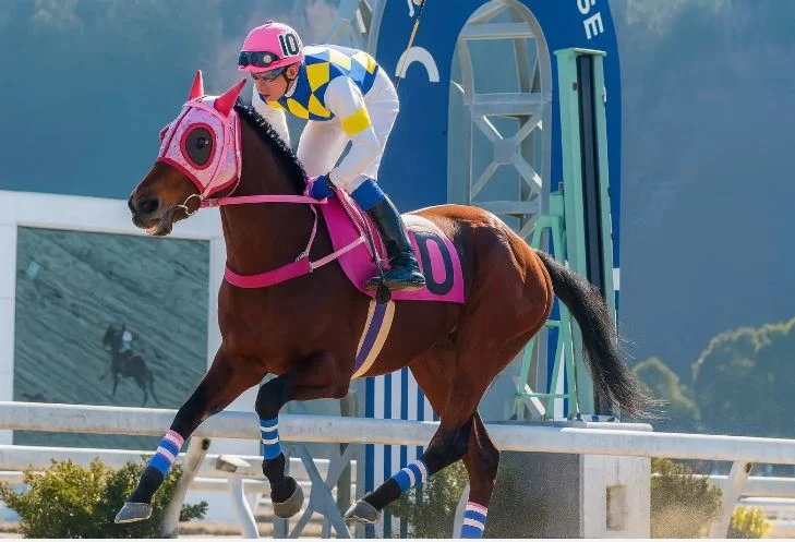 YouTuber Jepang Zepa Meninggal di Usia 26, Fans Terpukul dan Berduka