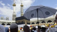 60 Ribu Pohon Hijaukan Tanah Suci Makkah, Suhu Turun dan Jemaah Haji Terkejut