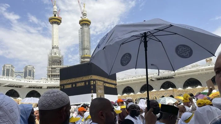60 Ribu Pohon Hijaukan Tanah Suci Makkah, Suhu Turun dan Jemaah Haji Terkejut