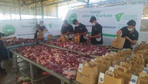 Dompet Dhuafa Kurban: Distribusi Daging Hingga Palestina & Unta Perdana Warnai Idul Adha 1447 H