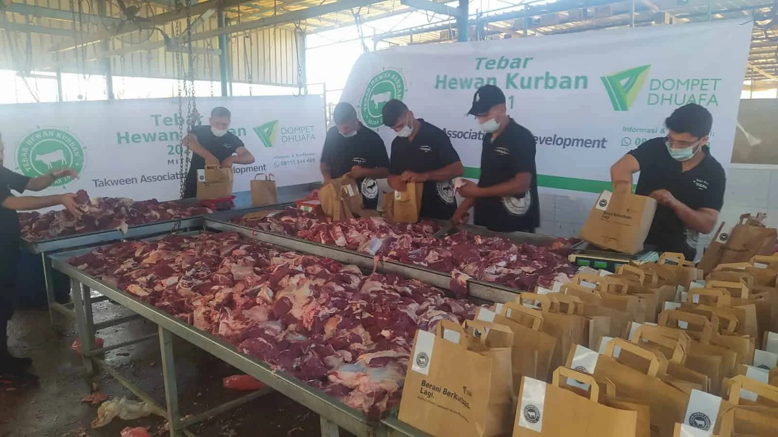 Dompet Dhuafa Kurban: Distribusi Daging Hingga Palestina & Unta Perdana Warnai Idul Adha 1447 H