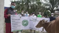 Dompet Dhuafa Siapkan Program Tebar Hewan Kurban untuk 2 Juta Penerima Manfaat Idul Adha 1447 H