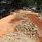 DPRD DKI Jakarta Kritik Proyek Galian yang Bikin Jalan Rusak, Peringatkan Risiko Pemborosan Anggaran