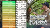 Harga TBS Sawit Anjlok, DPR Minta Pemerintah Evaluasi Kebijakan Ekspor