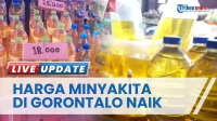 HET Minyakita Naik, Harga BBM Melonjak: Apa Dampaknya bagi Konsumen?