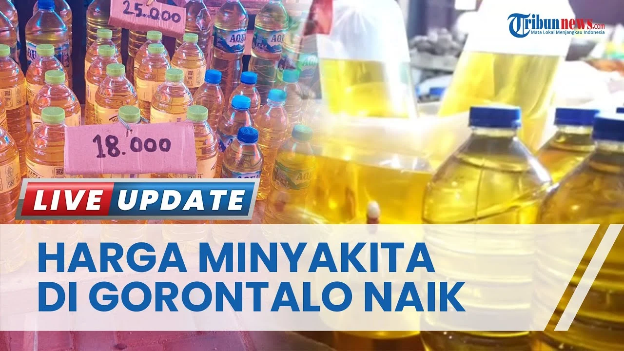 HET Minyakita Naik, Harga BBM Melonjak: Apa Dampaknya bagi Konsumen?