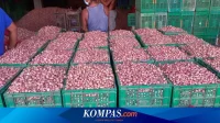 Idul Adha 1447 H: Kementan Pastikan Pasokan Bawang Merah Aman