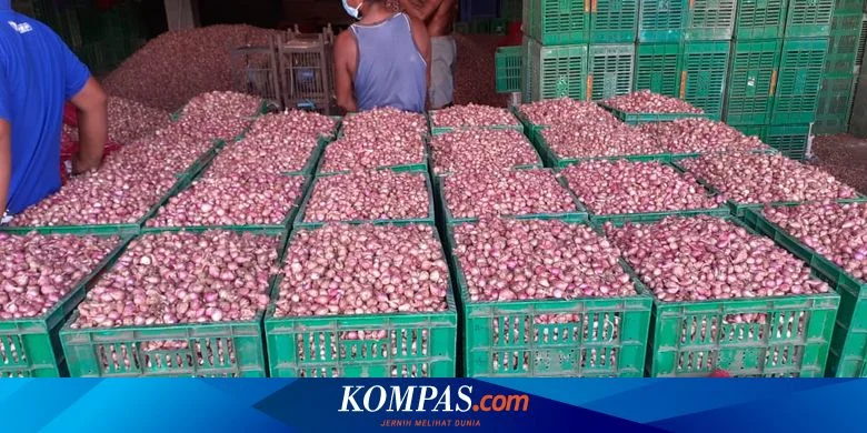 Idul Adha 1447 H: Kementan Pastikan Pasokan Bawang Merah Aman