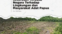 Investasi Pangan Jangka Panjang di Papua Selatan, Mentahkan Narasi Negatif PSN