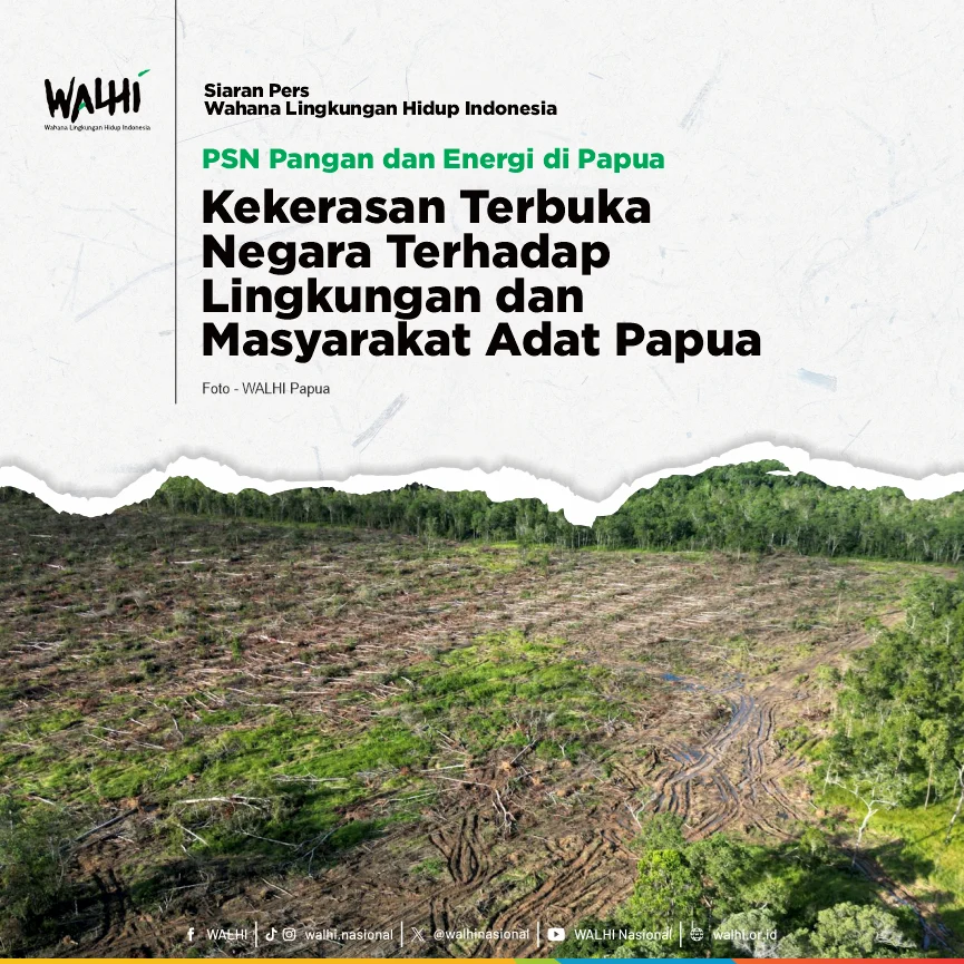 Investasi Pangan Jangka Panjang di Papua Selatan, Mentahkan Narasi Negatif PSN