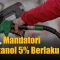 Mandatori Bioetanol E5 Mulai Juli 2026: Apa yang Perlu Diketahui