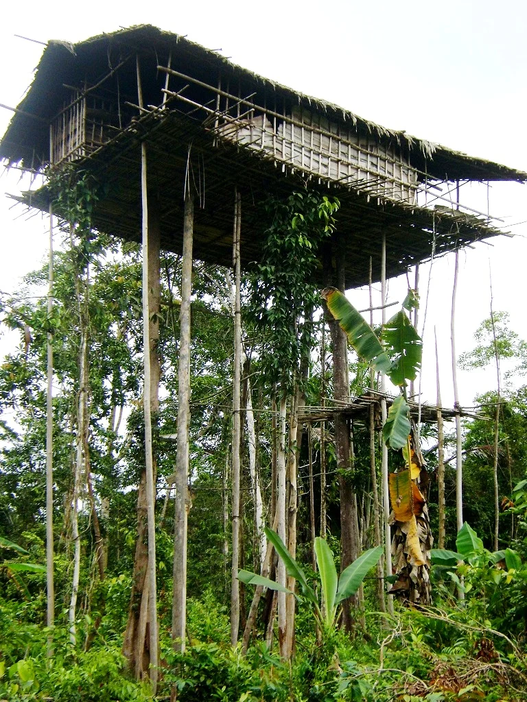Masyarakat Boven Digoel Berikan Replika Rumah Pohon Korowai untuk Jaga Hutan Papua