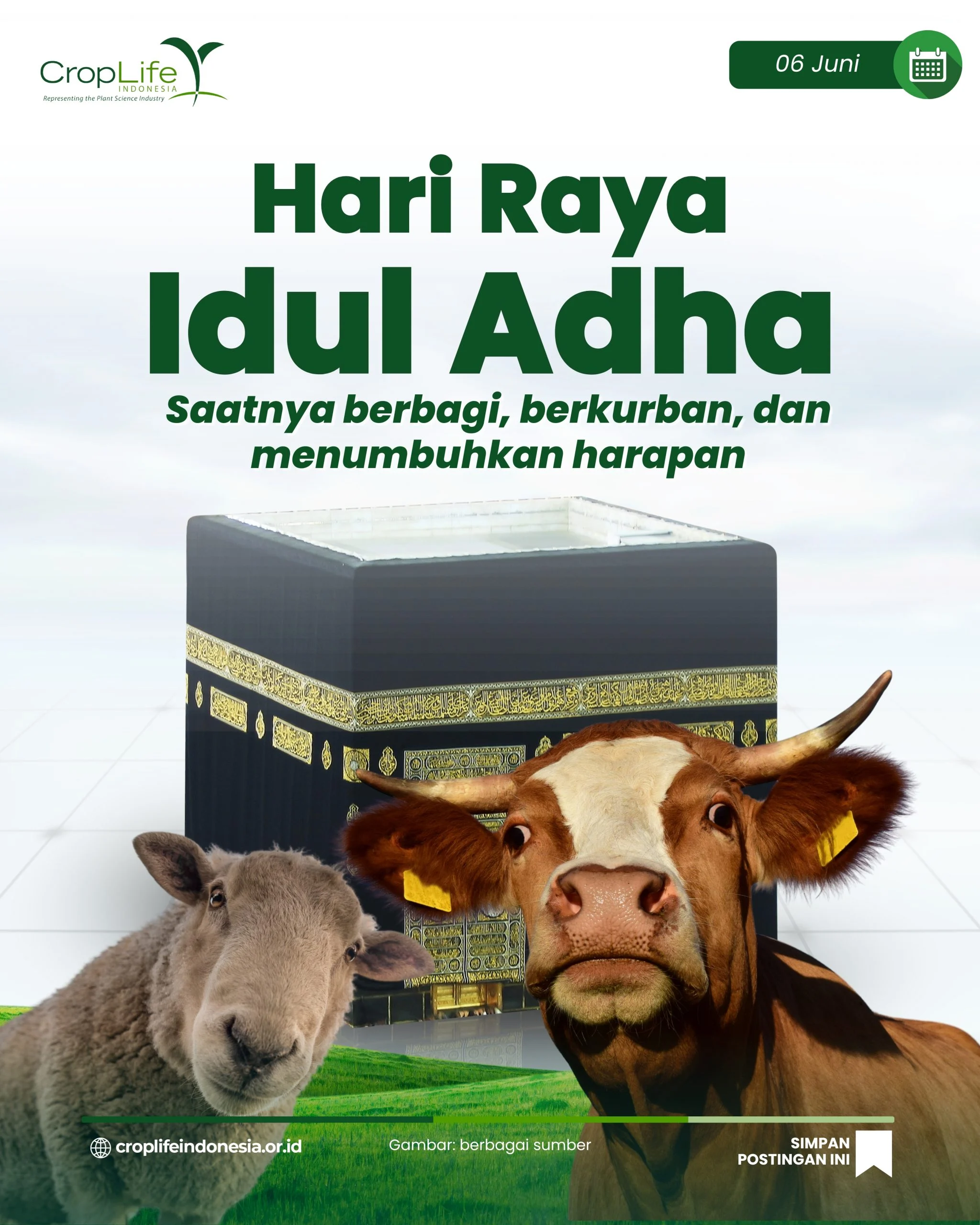 Menghadapi Krisis Kepercayaan Global: Refleksi Menjelang Idul Adha di Timur Tengah