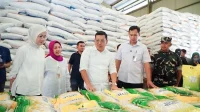 Pemerintah Perkuat Kolaborasi untuk Jaga Harga Beras Stabil