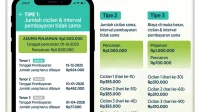 Pinjaman Online Legal: Skema Tadpole yang Membuat Cemas