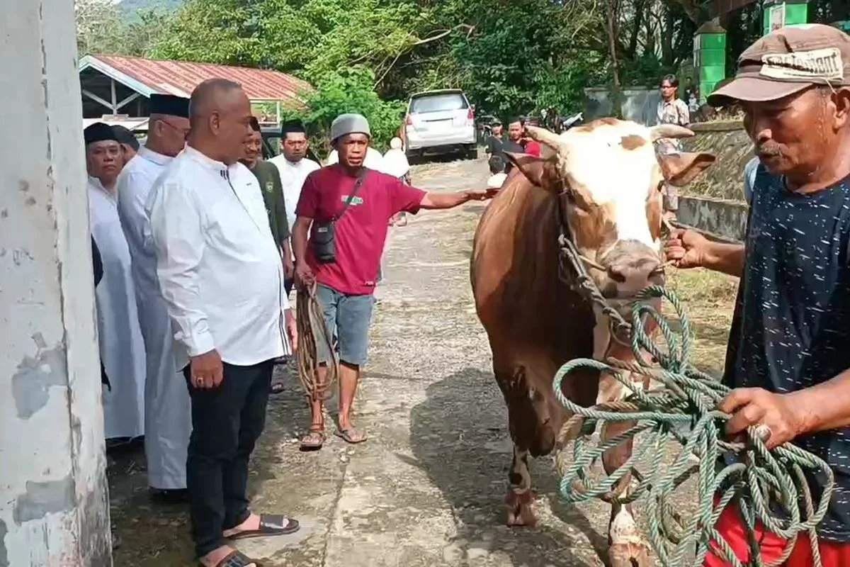 Prabowo Subianto Kirim 25 Ekor Sapi Kurban ke Sulawesi Selatan