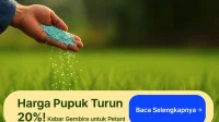 Pupuk Indonesia Menembus Pasar Australia, Harga Domestik Turun