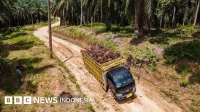Reforma Agraria: SPI Dukung Prabowo untuk Perluas Lahan Sawit Rakyat
