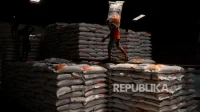 Stok Beras Nasional 5 Juta Ton Aman, Harga Terkendali