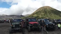 Tragedi di Kawasan Gunung Bromo: Jip Wisatawan Terjun Bebas ke Tebing