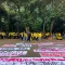 Aksi Demonstrasi Mahasiswa UI: Mencari Keadilan dan Mengutamakan Hak