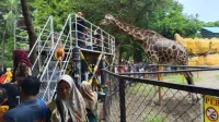 Ancol dan Jakpro Dibawah Sorotan: Aset Meningkat, Kontribusi PAD Minim