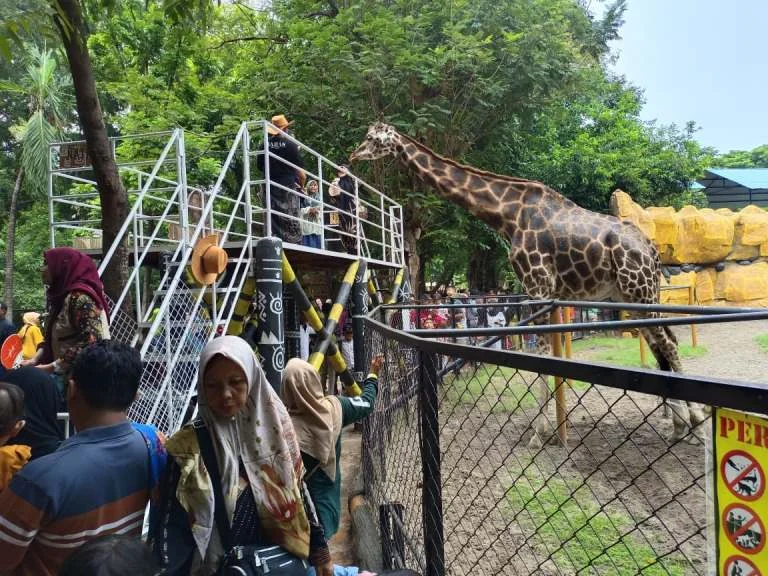 Ancol dan Jakpro Dibawah Sorotan: Aset Meningkat, Kontribusi PAD Minim