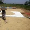 BULOG Terus Menyerap Gabah Beras Petani Dalam Negeri Sepanjang Tahun