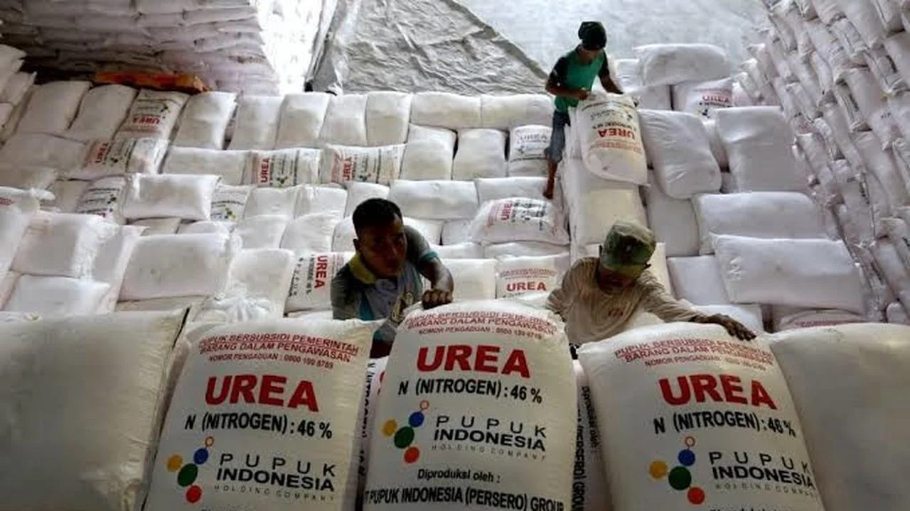 Ekspor Urea ke Australia: Pupuk Indonesia Pastikan Stok Lokal Aman
