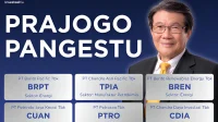 Gaji Direktur dan Komisaris Perusahaan Prajogo Pangestu Capai Rp60 Miliar