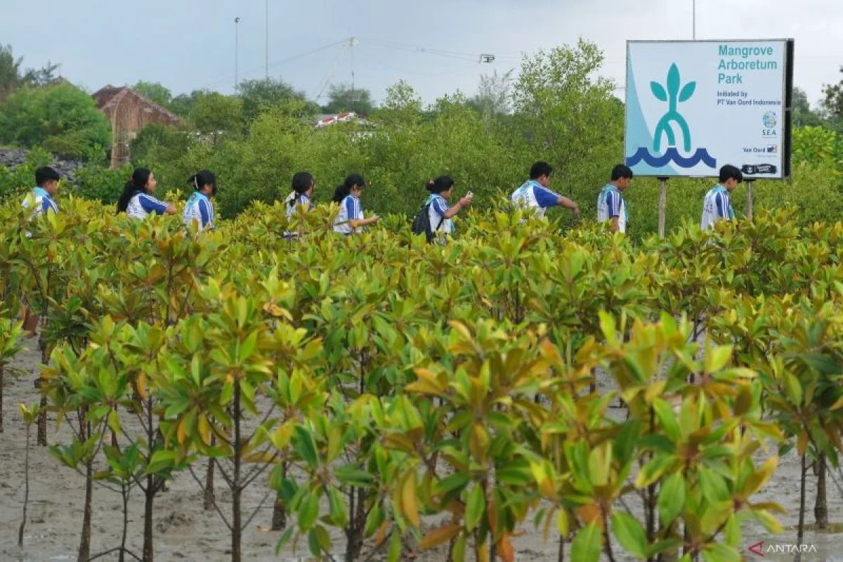 Gubernur Sulawesi Selatan Tanam Mangrove untuk Peringati Hari Lingkungan Sedunia