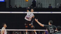 Indonesia Dominasi Daftar Dream Team Voli Asia AVC Cup 2026: Boy Arnez Raih MVP