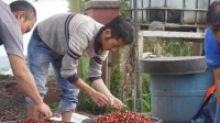 Inovasi Pertamina Menghadirkan Secangkir Kopi dari Panas Bumi