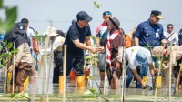 Jawa Tengah Jaga Masa Depan Wilayah Pesisir melalui Mageri Segoro Jawa Tengah Jaga Masa Depan Wilayah Pesisir melalui Mageri Segoro
