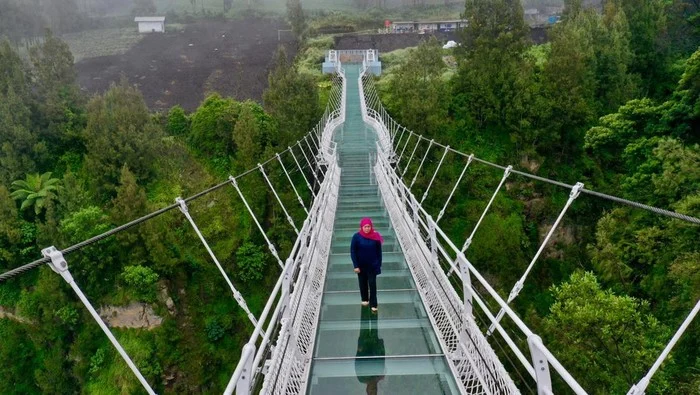 Jembatan Kaca Seruni Point Bromo: Destinasi Wisata Baru di Jawa Timur