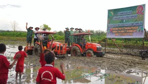 Masyarakat Adat Papua Dukung Program Cetak Sawah, Meningkatkan Kesejahteraan Petani