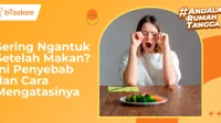 Mengatasi Ngantuk Setelah Makan Siang dengan 3 Langkah Jitu dari Ahli Gizi
