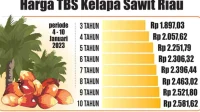 Peringatkan Industri Sawit Serakah: Jangan Beli TBS dengan Harga Murah Peringatkan Industri Sawit Serakah: Jangan Beli TBS dengan Harga Murah