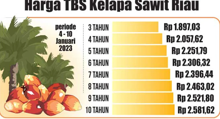 Peringatkan Industri Sawit Serakah: Jangan Beli TBS dengan Harga Murah