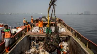 Pulau Sampah di Muara Angke Dibersihkan, Pramono Anung Berharap Tidak Terulang Pulau Sampah di Muara Angke Dibersihkan, Pramono Anung Berharap Tidak Terulang