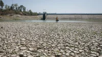 Puncak Kemarau Indonesia: Persiapan Menghadapi Kekeringan Panjang Juli-September
