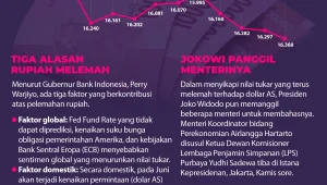Rupiah Melemah, Dekati Rp18.200/US$: Apa yang Harus Dilakukan?