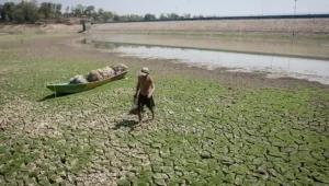 Gelombang Panas Ekstrem di Jerman, 5.000 Korban Jiwa