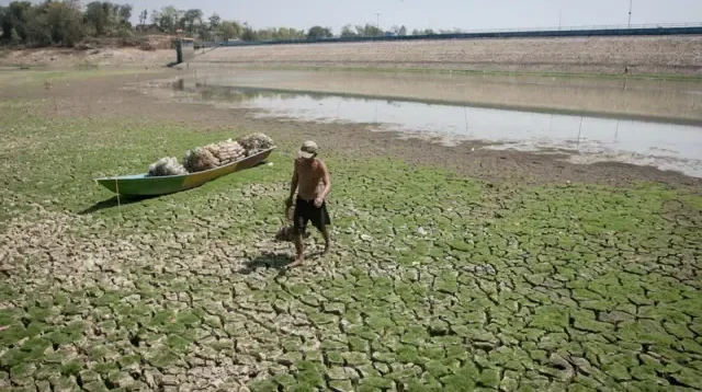 Gelombang Panas Ekstrem di Jerman, 5.000 Korban Jiwa